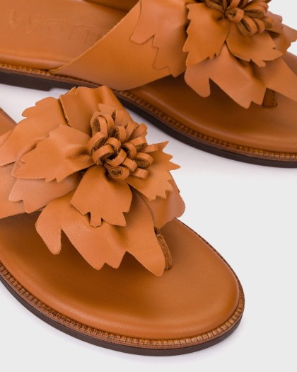 Wonders.com | Sandalas MUSA 87K Marrones AB-1587K MOUSSE
