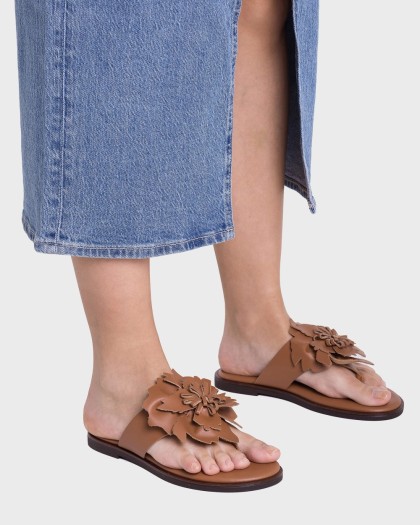 Wonders.com | Sandalas MUSA 87K Marrones AB-1587K MOUSSE
